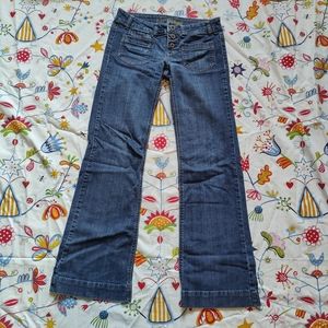 American Eagle Outfitters Jeans, Size 2